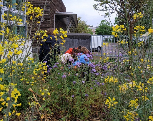 Cette image a été supprimée. Pour des raisons de sécurité, seules les images du domaine local sont autorisées. Image retirée.