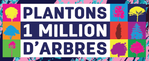 Plantons 1 million d'arbres