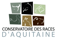 illus conservatoire des races