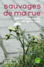 guide sauvage de ma rue